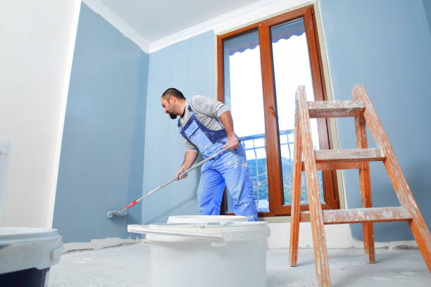 Best Mold Odor Removal Services  in New Baden, IL