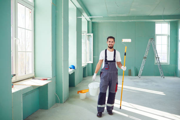 Best Basement Mold Removal  in New Baden, IL