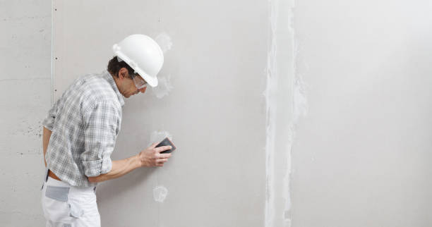 Best Mold Documentation for Insurance Claims  in New Baden, IL