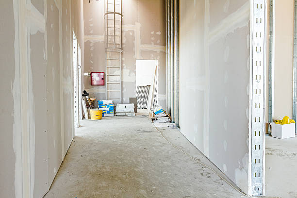 Best Basement Mold Removal  in New Baden, IL